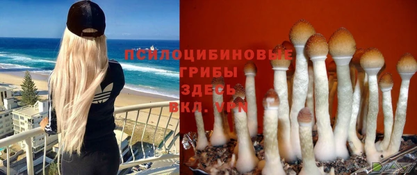 герыч Абдулино