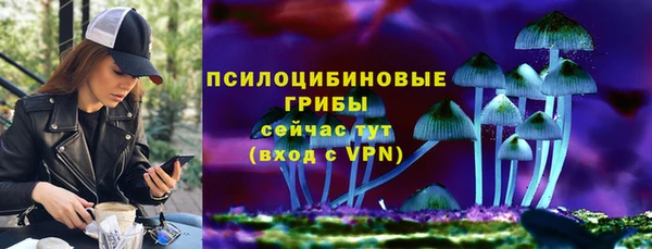 сатива Алексин