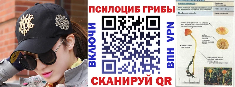 купить наркоту Злынка Псилоцибиновые грибы прущие грибы